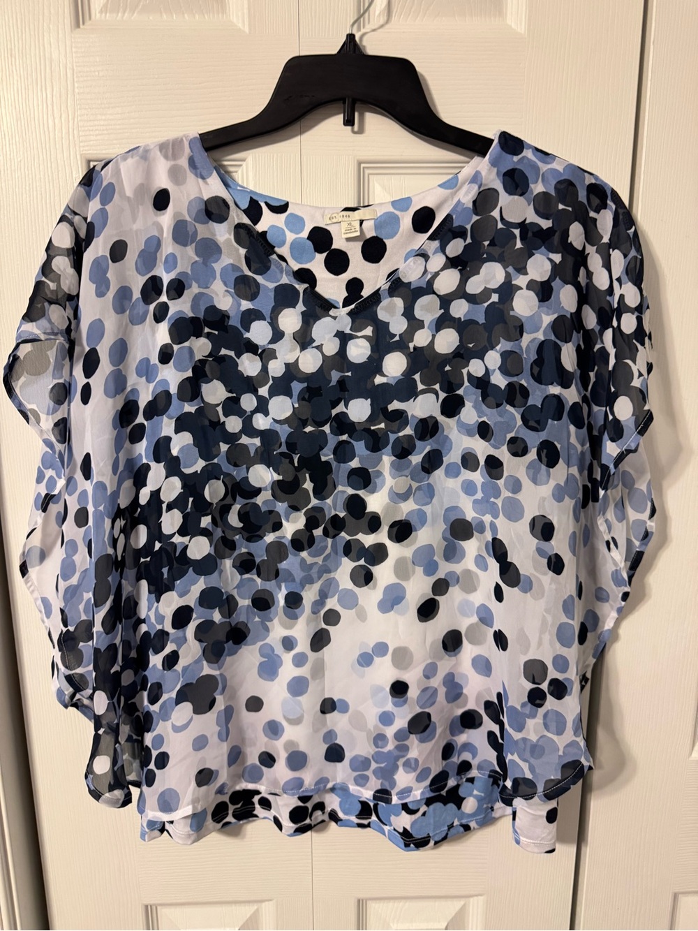 V-Neck Polka Dot Sheer Blouse in Blue and Black